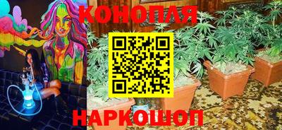 молекула духа Можайск