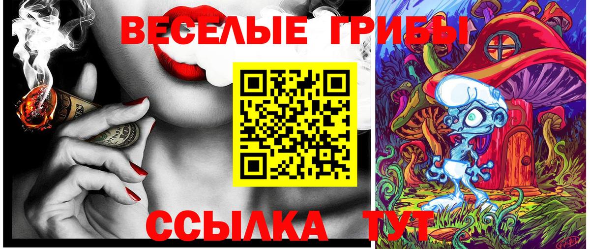Псилоцибиновые грибы GOLDEN TEACHER Учалы