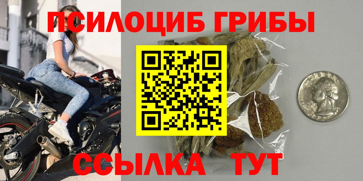 Псилоцибиновые грибы Cubensis  Вход с VPN  Учалы 